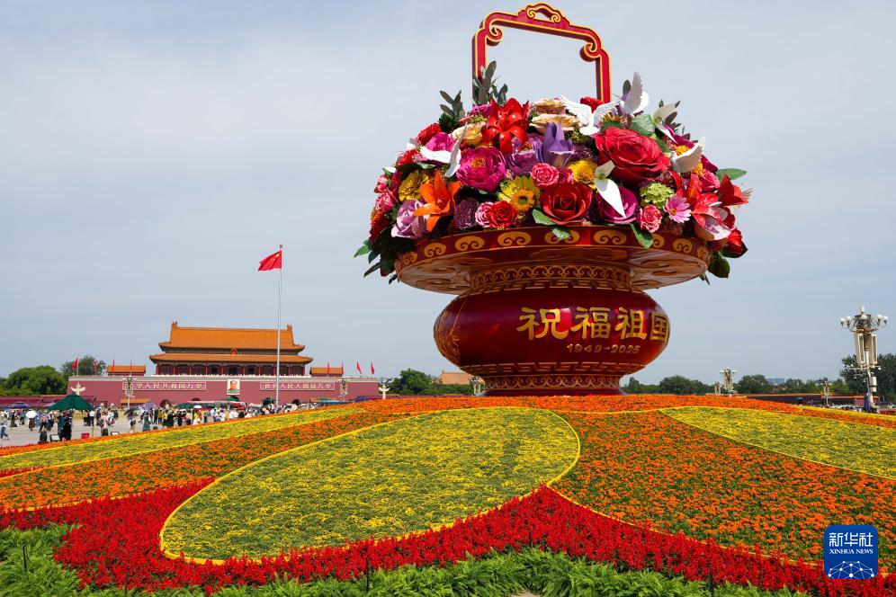 2585900_4096x10000.png